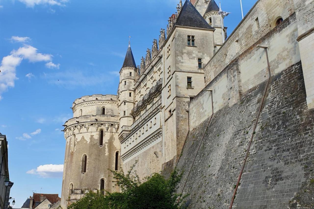 Splendid Apartment At The Foot Of The Castle Of Amboise - View Of The Loir Dış mekan fotoğraf