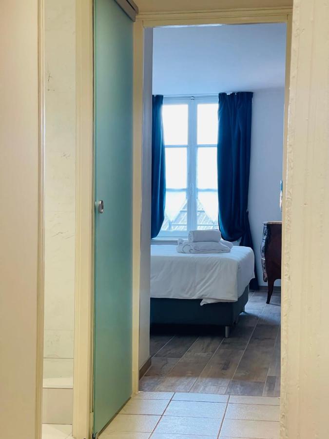 Splendid Apartment At The Foot Of The Castle Of Amboise - View Of The Loir Dış mekan fotoğraf