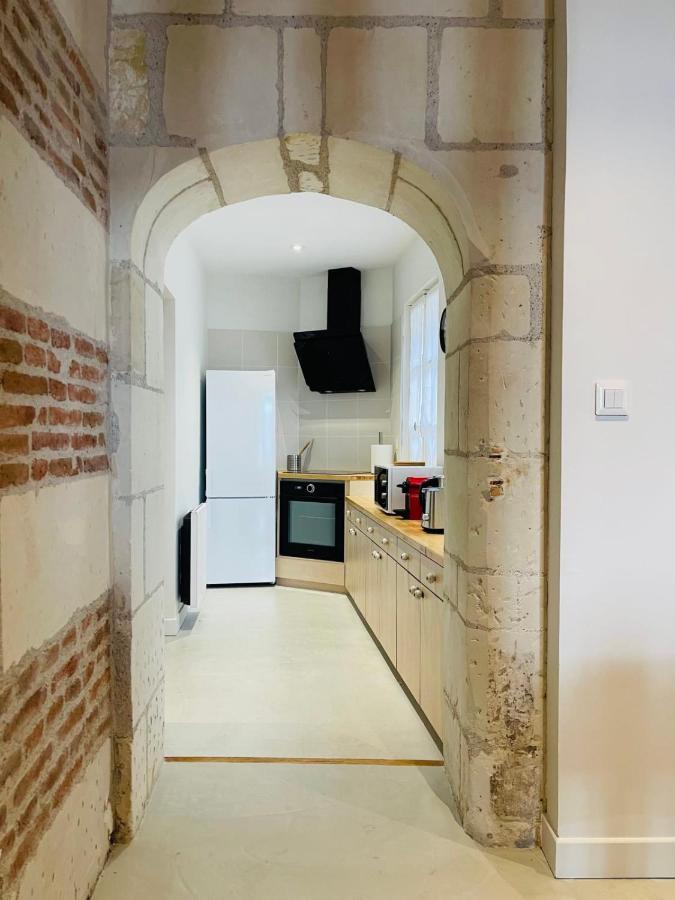 Splendid Apartment At The Foot Of The Castle Of Amboise - View Of The Loir Dış mekan fotoğraf