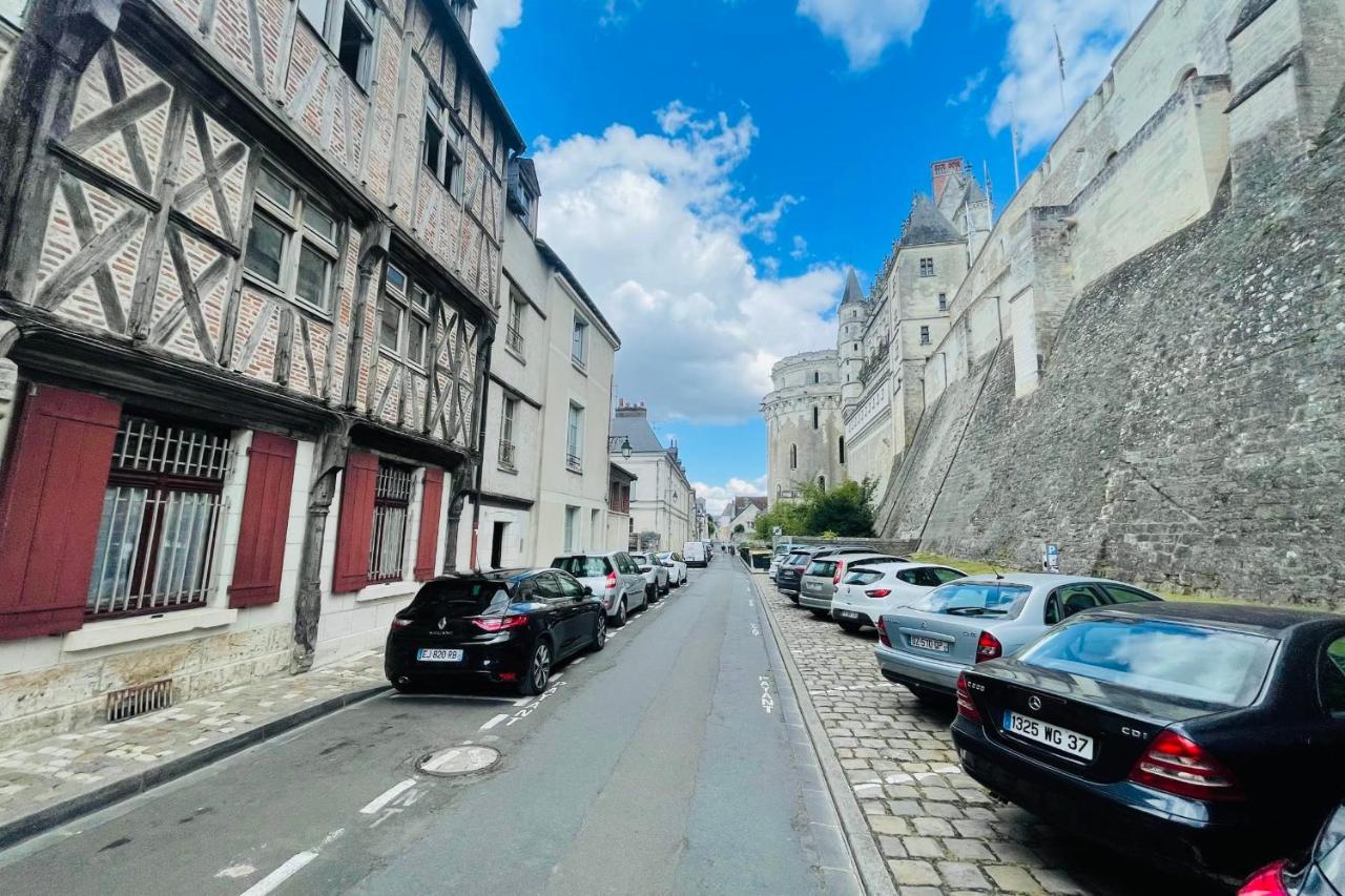 Splendid Apartment At The Foot Of The Castle Of Amboise - View Of The Loir Dış mekan fotoğraf
