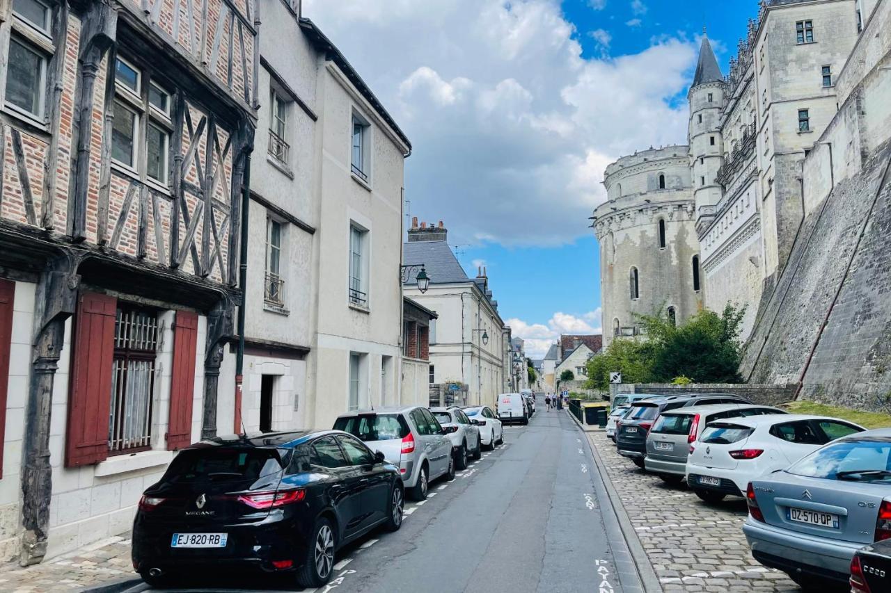Splendid Apartment At The Foot Of The Castle Of Amboise - View Of The Loir Dış mekan fotoğraf